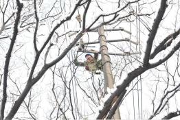 鎮江供電抗擊暴雪保供電