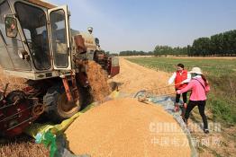 梁山供電：用電宣傳進麥田