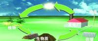 生物質(zhì)是替代核電、火電 彌補(bǔ)天然氣缺口的一種重要新能源