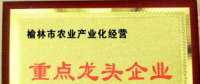 打造互聯網+農產品領先品牌 帶動陜西農業經濟騰飛