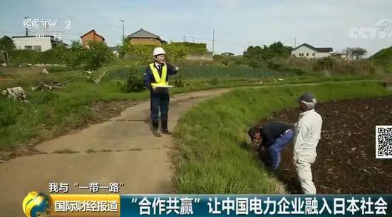 中國央企用光伏帶日本農民致富！10倍租金盤活荒廢農地