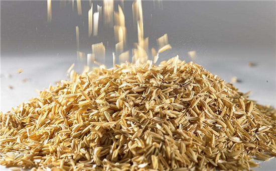 我國率先用稻殼制備高性能鉛炭電池 循環壽命提高6倍
