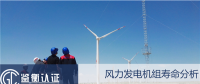 干貨丨風力發電機組壽命分析